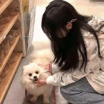 武极江湖正式版下载